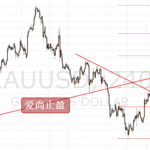 ����ֹӯ���S��_�����裬�ՃȇLԇ�߿գ�