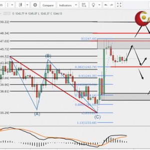 ��ʢ�F���٣��W�y�S�֌��ɡ��S��̾��������q