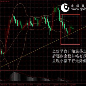 ��ʢ�F���٣� ���rС�����䣬�����PעADP����