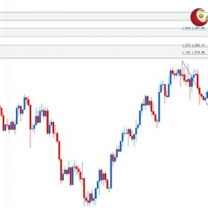 ��ʢ�F���٣��S����(chu��ng)�����¸������Mһζ׷��