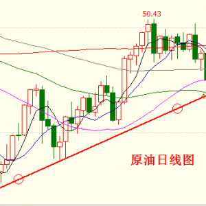 �������S���M�����P�I�ڣ��Ճȿ����ֺ�P