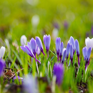 8.21�W���Ү�����������Ʒ��Ј� ���g���P����������ԣ�