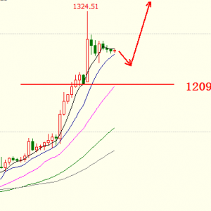 ������8.29���r�����R���w�^���S����δ�ٍ