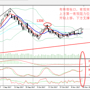 ��ؔ����11.20 ���^�ؚw!�S�����һ���³���ֱָ1300