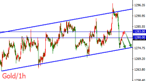 �����t���S��̓�q���mδ�ַܳ������M�t���^�m����