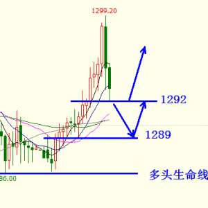 �׺��x���S�����A��10�c�Ҋ픣����ҹ��ʎ����