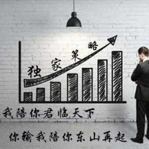 �S�����������MACDָ�˲�׽���Σ�