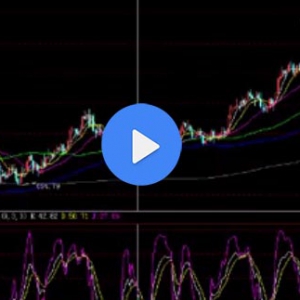 �S����y���gָ�˵đ���