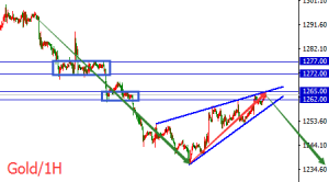 �����t���S��С����q����(qi��ng)��(sh��)��Ш�����^��(d��ng)���T��