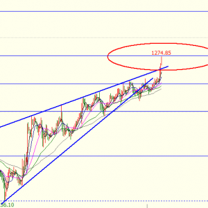 �׺��x�� 12.22�S�����g�����ϝq�����г��еĿՆ���ô�k��