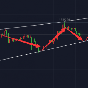 �����������r�P���ޏͣ���֧̽�ο����r��