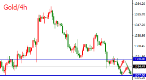 �����t���S�����W/����m���i��1307֧�����P�I