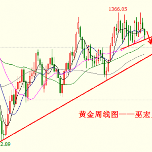 �׺��x���S������ȫ������������ԓ��β�����