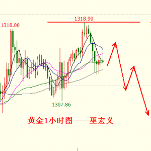 �׺��x���S�����g���q�o���£����g�Ƶ����P�����