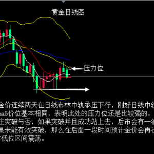 ���yͬ����5.15�S��ҹ���@�꣬���̄�(w��)���L�vԒ�̼����r(ji��)��ˮ