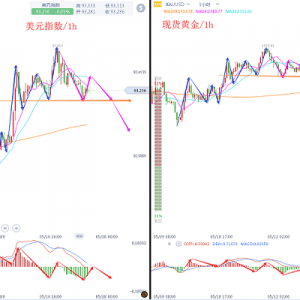 �����t����ָ�������S��С�r�߄ݣ������S�𷴏�����