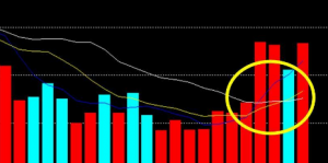 Ͷ�Y������η���MACDָ��