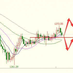 �׺��x���S��Ī�ѷ��������D�����W�P�Pע1269֧��