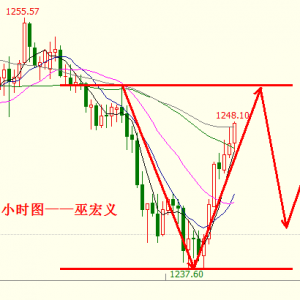 �׺��x���S�����g�����o���£��W�P�������ʎ