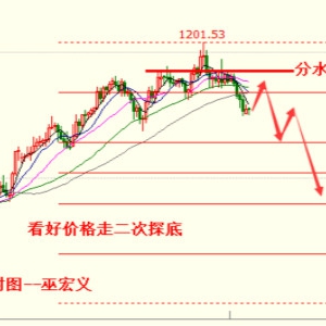 �׺��x��8��23���S�𿴶���̽�ף����g1196�Ն��^�m(x��)����