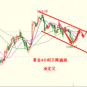 �׺��x��9��5��Ӣ��Ó�W����ȫ�����S����ҹ��������c���h