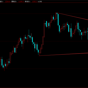 9.12��Ԫ�S������V������ ���ô��˲��ܷ�ٳ�NAFTA�f(xi��)�h����������ӭ������������͝q ...