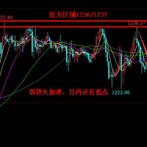 �׺��x��11.8�����µ��o���٣��S���Ճ�߀�е��c