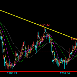 �׺��x���S������ʎ�������W�P�������֕�