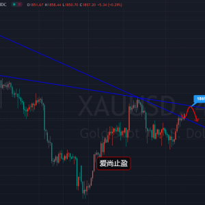 ����ֹӯ���S��ͻ�������m(x��)���Ճ�����1865�գ�