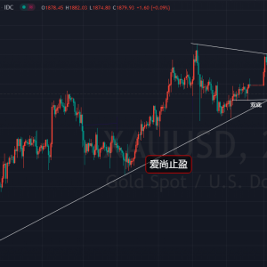 ��(��i)��ֹӯ���S����������ʎ����ס1869�ȶ̶࣡