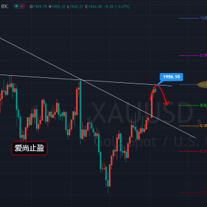 ��(��i)��ֹӯ���S���?q��)������c(di��n)��1955�Lԇ�о��գ�