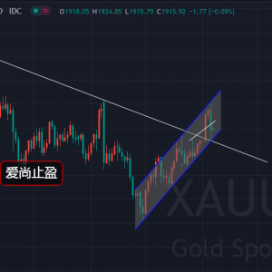 ��(��i)��ֹӯ���S��1955�ɹ�ץ픣��Ճ�(n��i)�S����ʎ��