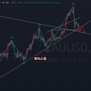 ��(��i)��ֹӯ���S��1900�@֧�Σ����r(n��ng)����ӭǧ�ˣ�