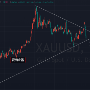 ��(��i)��ֹӯ���S�����g�m(x��)���Ƶͣ���󷴳�1841�գ�