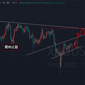 ��(��i)��ֹӯ�����r(ji��)̽���߻������Ճ�(n��i)�ȶ��ٽӿգ�