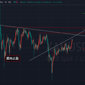 ��(��i)��ֹӯ�����g�Ƹ������m(x��)��1863֮��߀��գ�