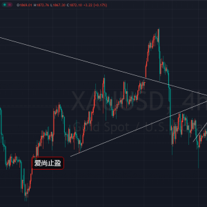 ��(��i)��ֹӯ���վ����(y��ng)��ͻ�ƣ��S��س������࣡