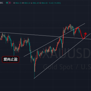 ��(��i)��ֹӯ���վ����������(y��n)�C���S���ȿտ����䣡