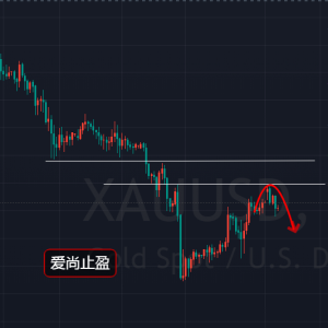 ����ֹӯ������Ӌ�������S�������g�����fڅ����