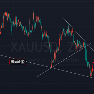 ����ֹӯ���S���վ�5�B���������ˮ�X1785��