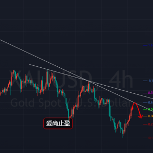 ����ֹӯ���S����^ӭ�������_��֮�󲼾ֿ���