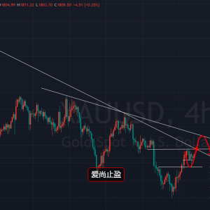 ����ֹӯ���S����^�ز�����������^�m���������