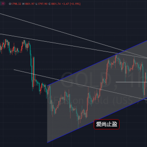 ����ֹӯ�����̽���߻������Ճ��S������࣡