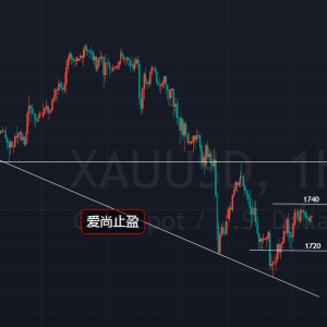 ����ֹӯ���S���|���߷������Ճȅ^�g��������