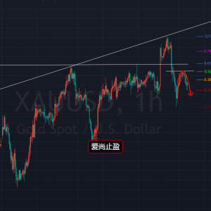 ����ֹӯ�������������j�����Ճ�(n��i)�S������գ�