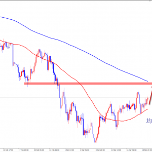 ����(y��ng)�����S����ʎ�����������^�m(x��)�Ͷ࿴�q