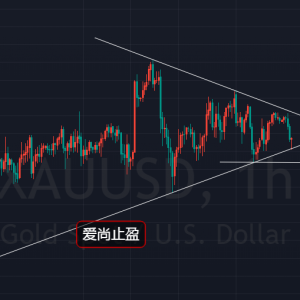 ����ֹӯ���S�����ǅ^(q��)�g��ʎ�����P�̾��߹�������