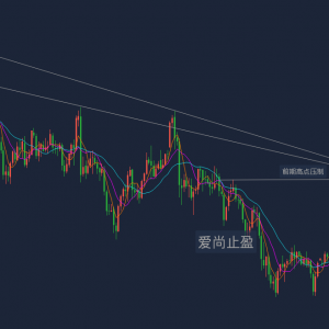 ����ֹӯ���S���ϝq��׷�࣬1860�·����οգ�