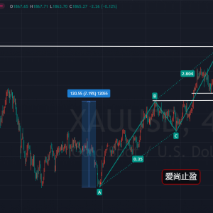 ����ֹӯ������1874���οգ������S��1800Ҋ��