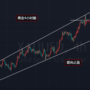 ����ֹӯ���S���Lʮ��ϴ�P�����f���Ŀ��^�ģ�